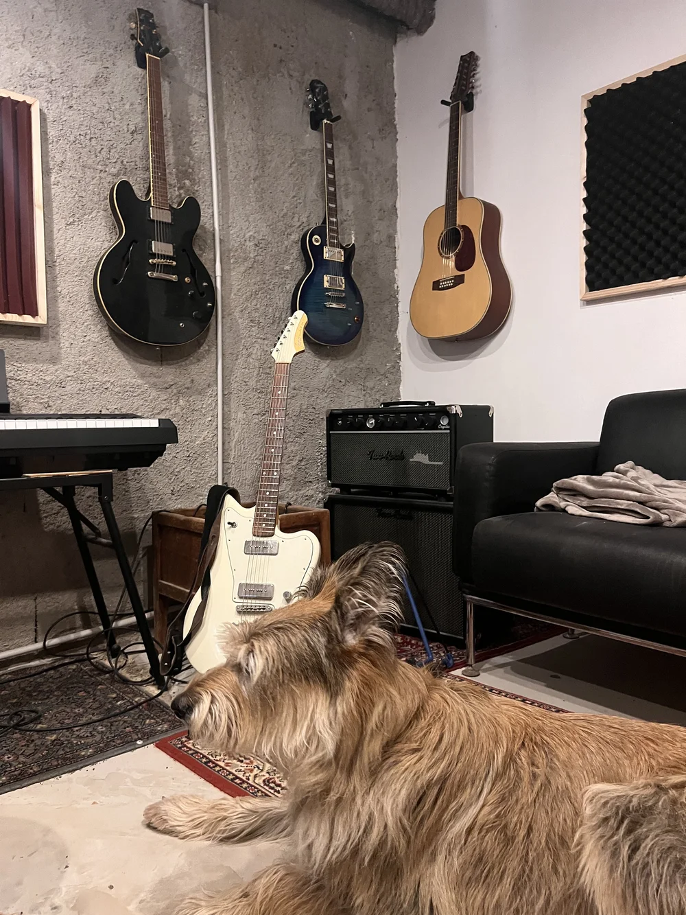 A Place for Silence & Sounds